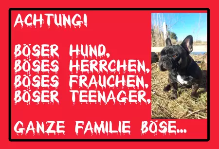 Hunde Warnschild Zutritt verbotenHunde Achtung! Böser Hund, böses Herrchen... Bild