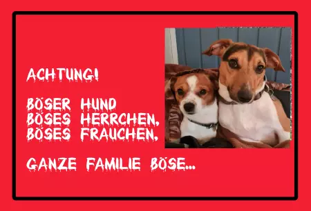 Hunde Warnschild Zutritt verboten Hunde Achtung! Böser Hund, Böses Herrchen, ... Bild