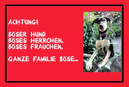 Hunde Warnschild Zutritt verbotenHunde Achtung! Böser Hund, Böses Herrchen, Böses... Bild