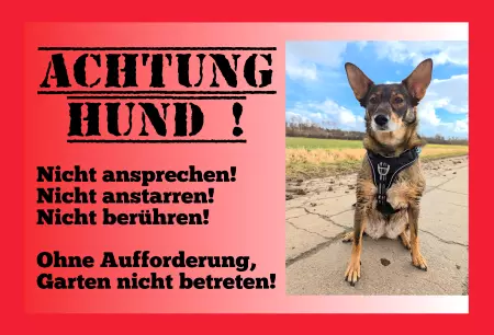 Hunde Warnschild Zutritt verbotenHunde Achtung Hund! Bild