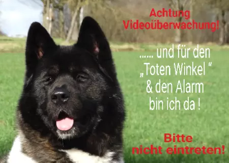 Hunde Warnschild Zutritt verbotenHunde Achtung Videoüberwachung Bild