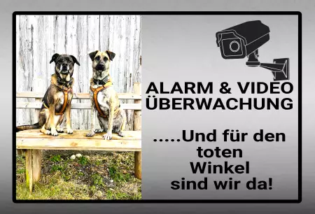 Hunde Warnschild Zutritt verbotenHunde Alarm und Videoüberwachung Bild