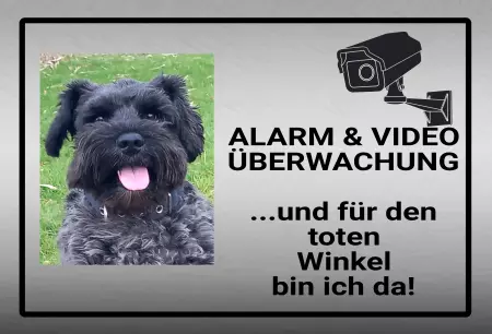 Hunde Warnschild Zutritt verbotenHunde Alarm & Video Überwachung Bild