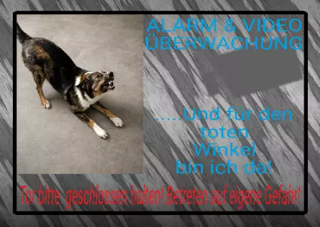 Hunde Warnschild Zutritt verboten Hunde Alarm & Video Überwachung Bild