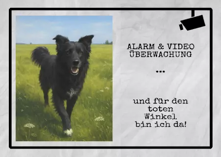 Hunde Warnschild Zutritt verboten Hunde Alarm & Videoüberwachung Bild