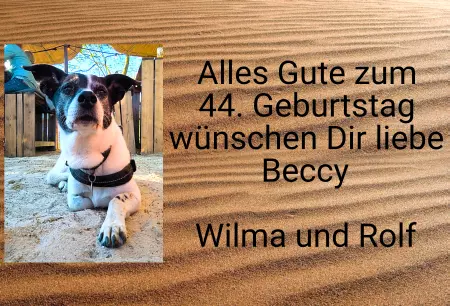 Hunde Warnschild Zutritt verbotenHunde Alles Gute zum 44 Geburtstag. Bild