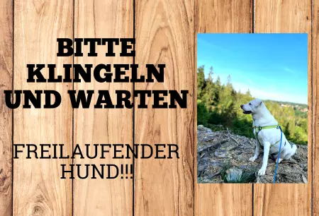 Hunde Warnschild Zutritt verbotenHunde Bitte klingeln und warten. Freilaufender Hund!!!! Bild