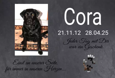 Hunde Warnschild Zutritt verbotenHunde Cora Bild