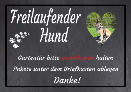 Hunde Warnschild Zutritt verbotenHunde Freilaufender Hund Bild