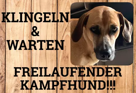 Hunde Warnschild Zutritt verbotenHunde Freilaufender Kampfhund!!! Schilder selbst gestalten Hunde Warnschild Zutritt verbotenHunde Freilaufender Kampfhund!!! Bild