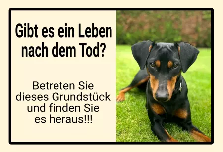 Hunde Warnschild Zutritt verboten Hunde Gibt es ein Leben nach dem Tod? Bild