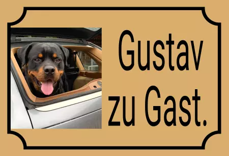 Hunde Warnschild Zutritt verbotenHunde Gustav zu Gast. Bild