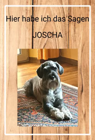 Hunde Warnschild Zutritt verbotenHunde Hier habe ich das Sagem JOSCHA Bild