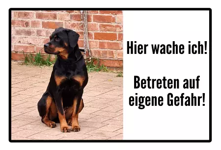 Hunde Warnschild Zutritt verbotenHunde Hier wache ich! Bild