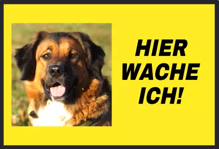 Hunde Warnschild Zutritt verboten Hunde Hier wache ich! Bild