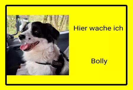 Hunde Warnschild Zutritt verbotenHunde Hier wache ich Bolly Bild