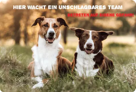 Hunde Warnschild Zutritt verbotenHunde Hier wacht ein unschlagbares Team Bild