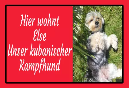 Hunde Warnschild Zutritt verbotenHunde Hier wohnt Else Unser kubanischer Kampfhund Bild