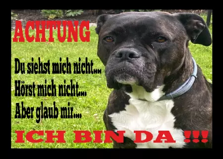 Hunde Warnschild Zutritt verbotenHunde ICH BIN DA !!!!! Bild