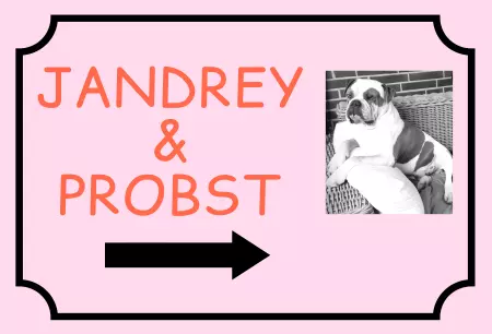 Hunde Warnschild Zutritt verbotenHunde Jandrey & Probst Bild