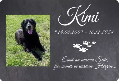 Hunde Warnschild Zutritt verbotenHunde Kimi Bild