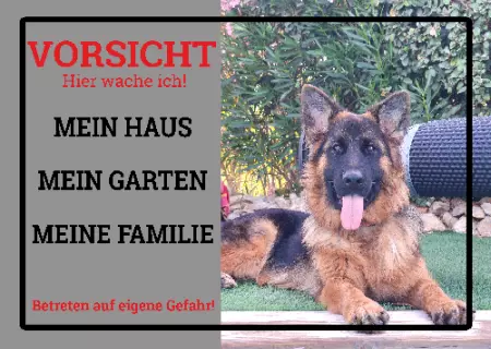Hunde Warnschild Zutritt verbotenHunde Mein Haus, Mein Garten, ... Bild