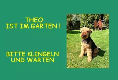 Hunde Warnschild Zutritt verboten Hunde Theo ist im Garten! Bild