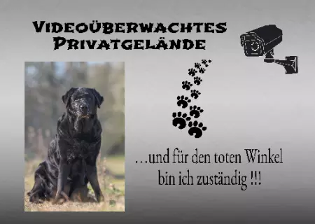Hunde Warnschild Zutritt verboten Hunde ... und für den toten Winkel bin ich zuständig!!! Bild