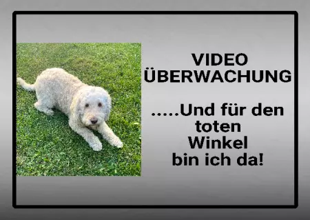 Hunde Warnschild Zutritt verbotenHunde VIDEO ÜBERWACHUNG Bild
