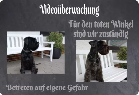 Hunde Warnschild Zutritt verbotenHunde Videoüberwachung Für den toten Winkel ... Schilder selbst gestalten Hunde Warnschild Zutritt verbotenHunde Videoüberwachung Für den toten Winkel ... Bild